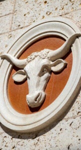 Longhorn emblem.